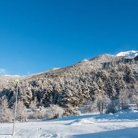 Premium -acces Pied De Piste En Navette *