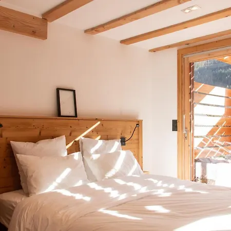 Premium -acces Pied De Piste En Navette * Saint-Chaffrey